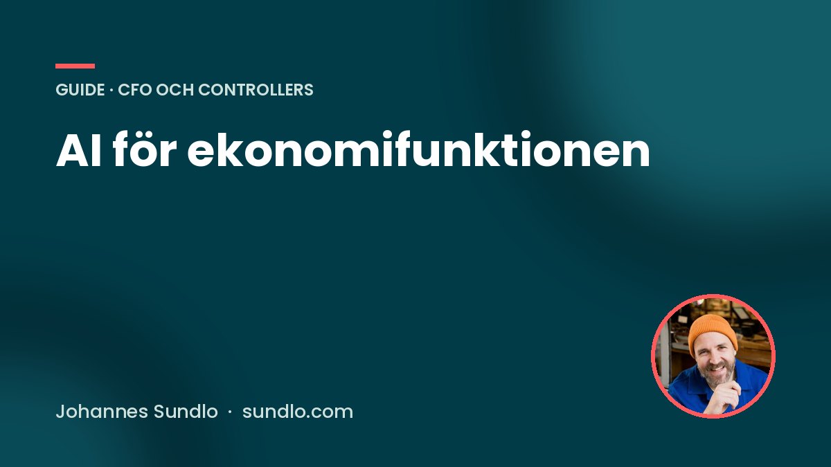 AI för ekonomifunktionen. Guide av Johannes Sundlo på sundlo.com