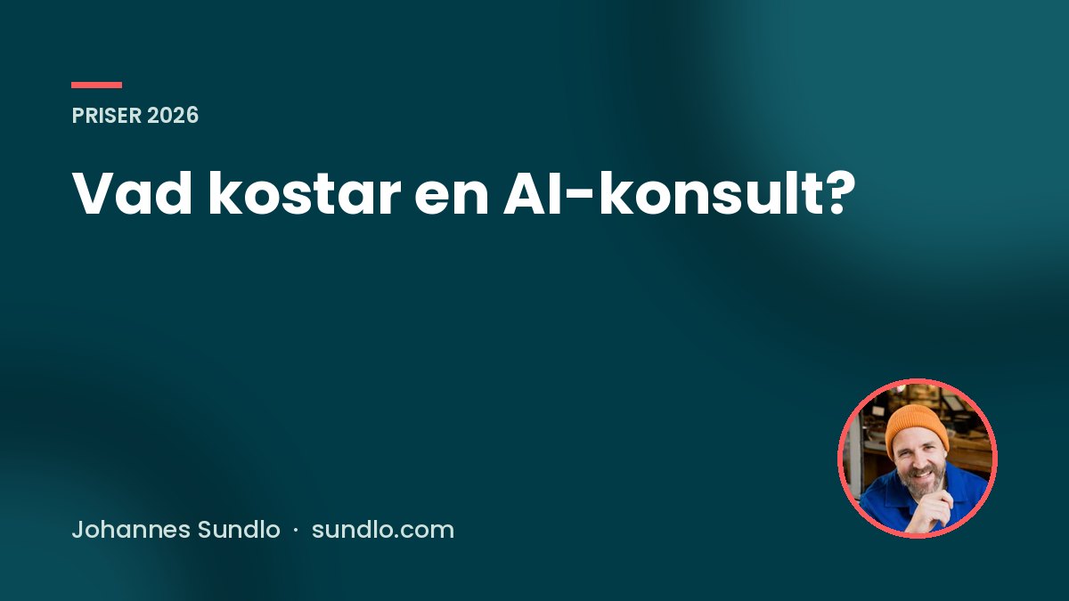 Vad kostar en AI-konsult?. Guide av Johannes Sundlo på sundlo.com
